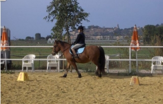 Clases de equitación en Castiglione 